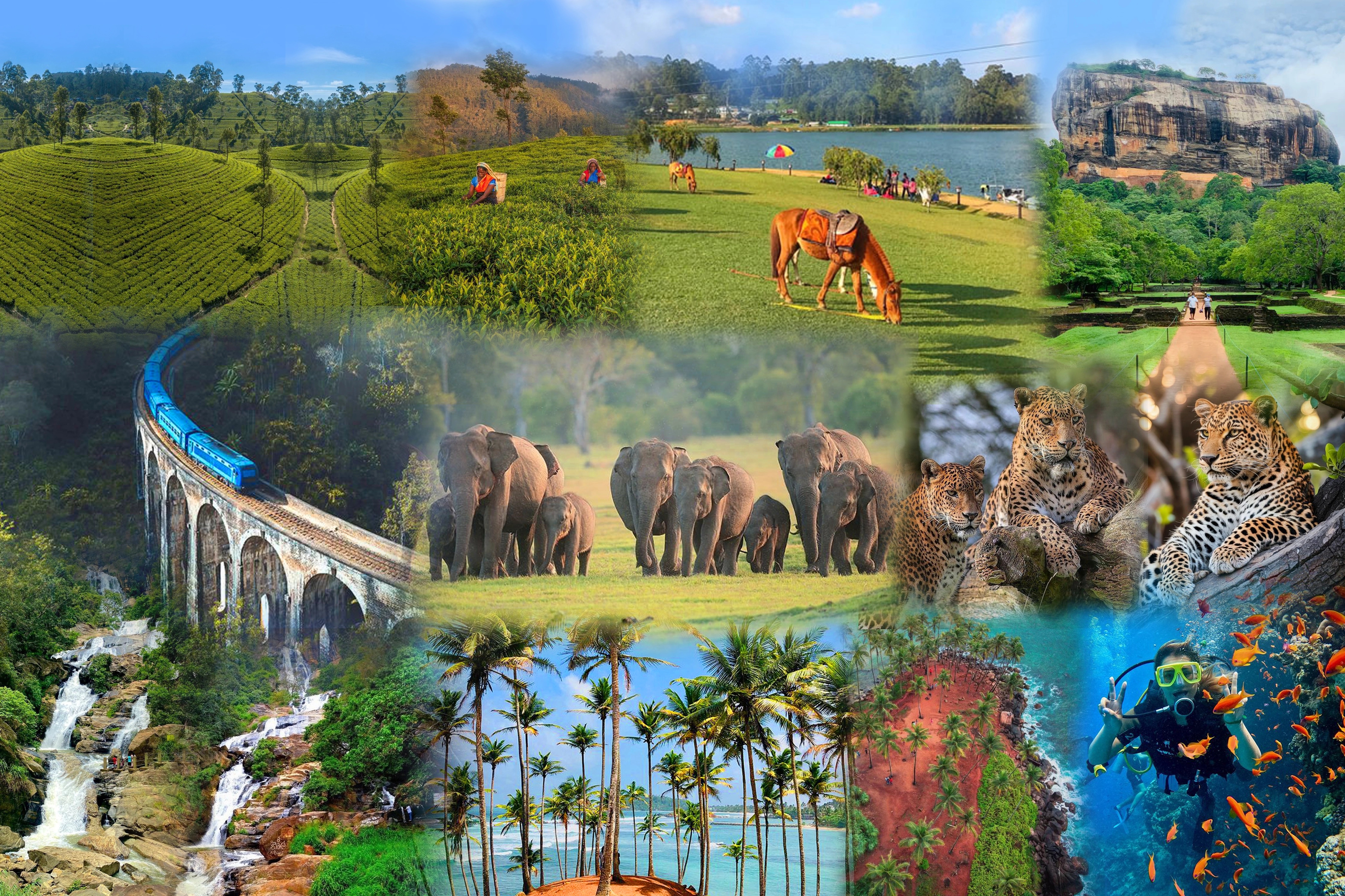 Sri Lanka Scenic View